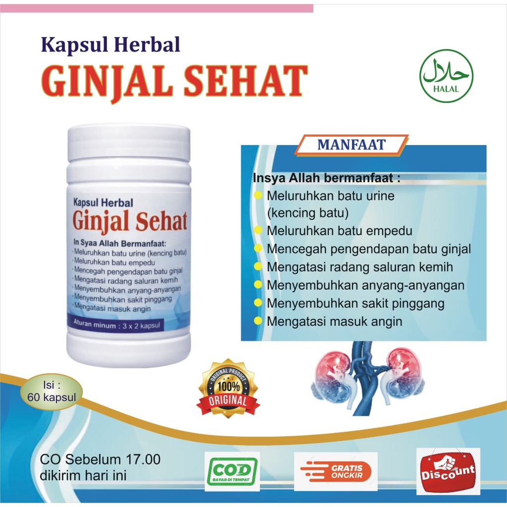 OBAT GINJAL AMAN I KAPSUL HERBAL GINJAL SEHAT I KAPSUL HERBAL UNTUK GINJAL isi 60 kapsul