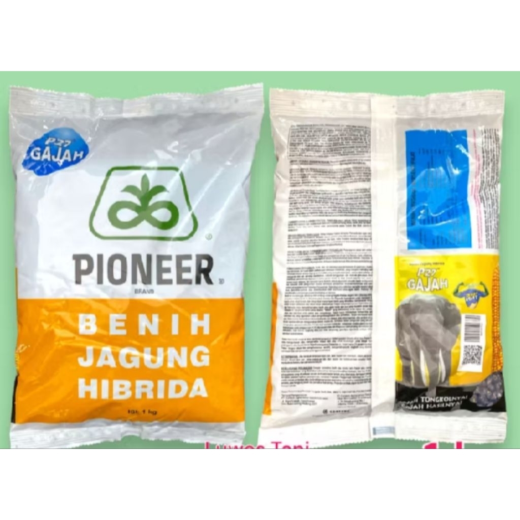 benih jagung hibrida Pioneer p27 kemasan 1kg benih jagung Pioner p27