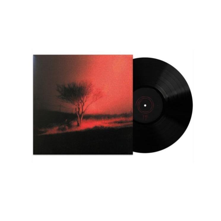 PIRINGAN HITAM / VINYL JOJI - PISS IN THE WIND (1LP,BLCK)