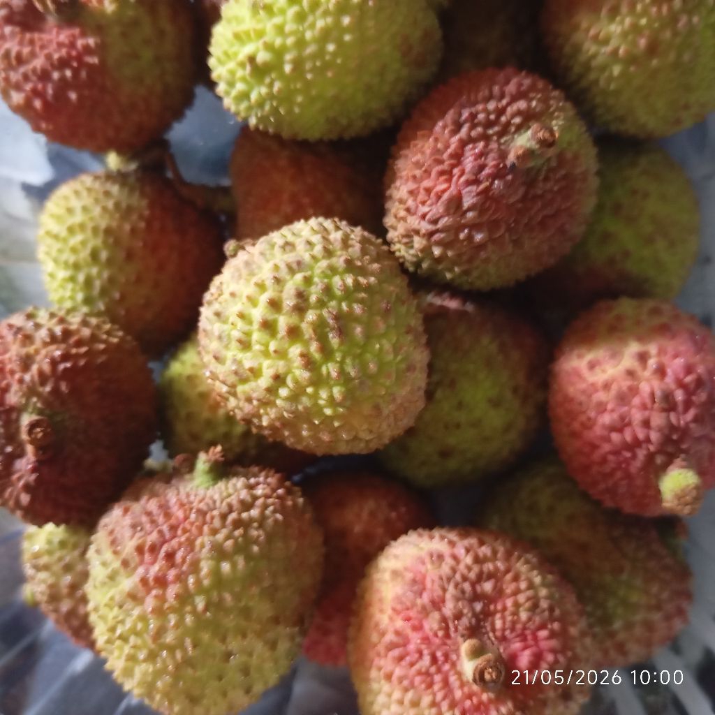Leci Buah Segar 500 gram Lychee Fresh Fruit Import