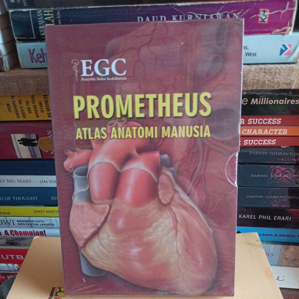 Buku original Prometheus atlas anatomi manusia