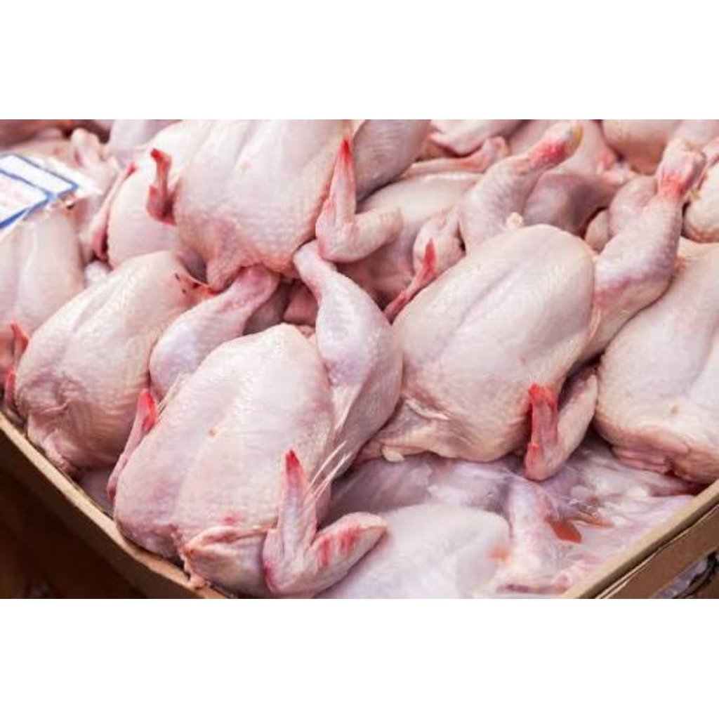 Ayam Segar Utuh 800- 1000 Gram