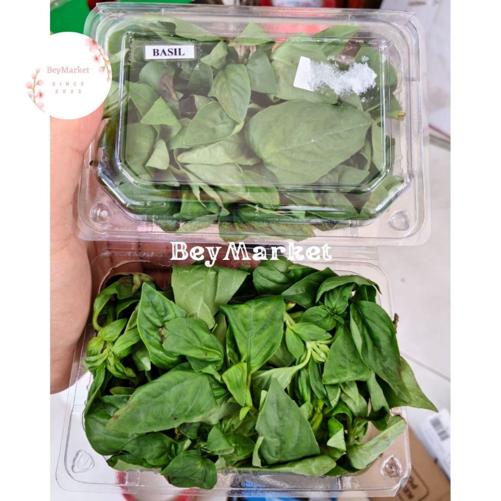 Daun Basil Fresh | Daun Basil Segar | Pack