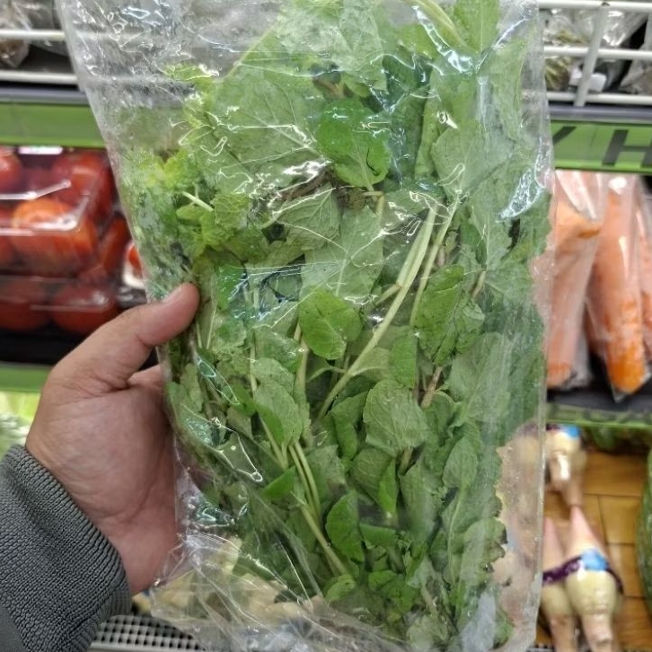Daun Mint fresh | daun mint segar / pack