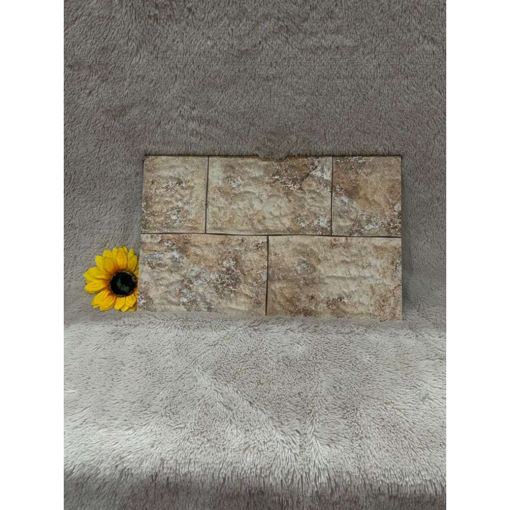Keramik 25X40 Laguna Natura Beige