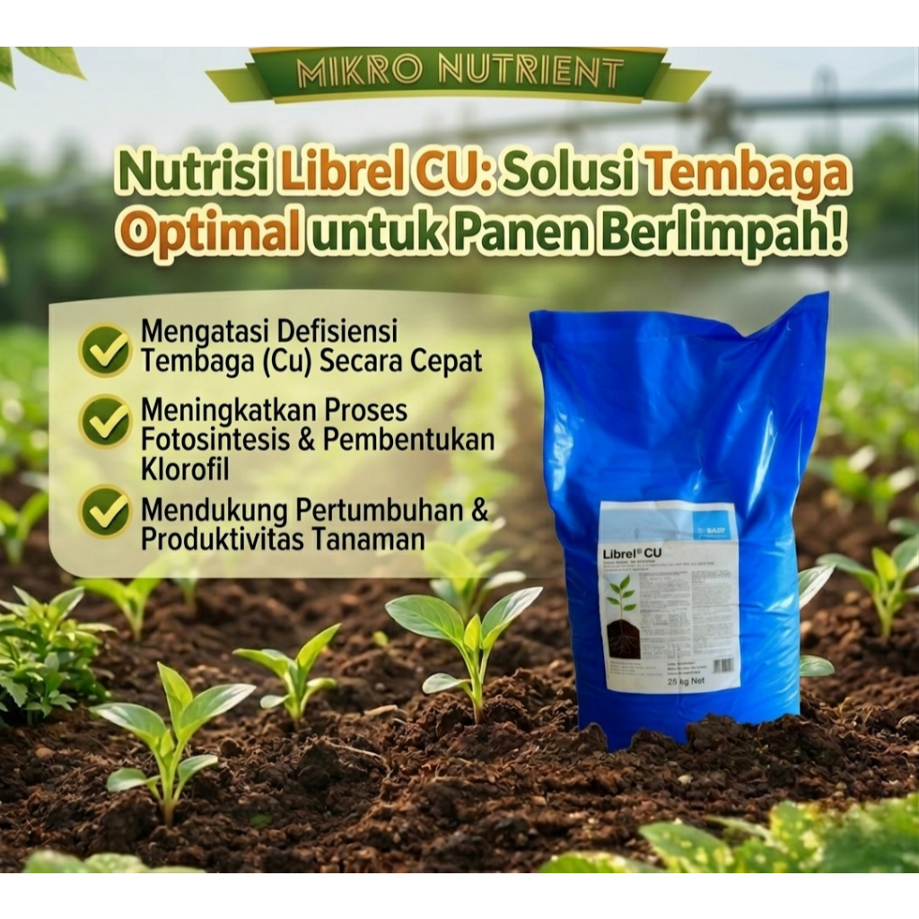 Pupuk Mikro Librel Cu 1 Sak (25 Kg) Pupuk Mikro Premium untuk Aktivator Enzim dan Pembentukan Klorof