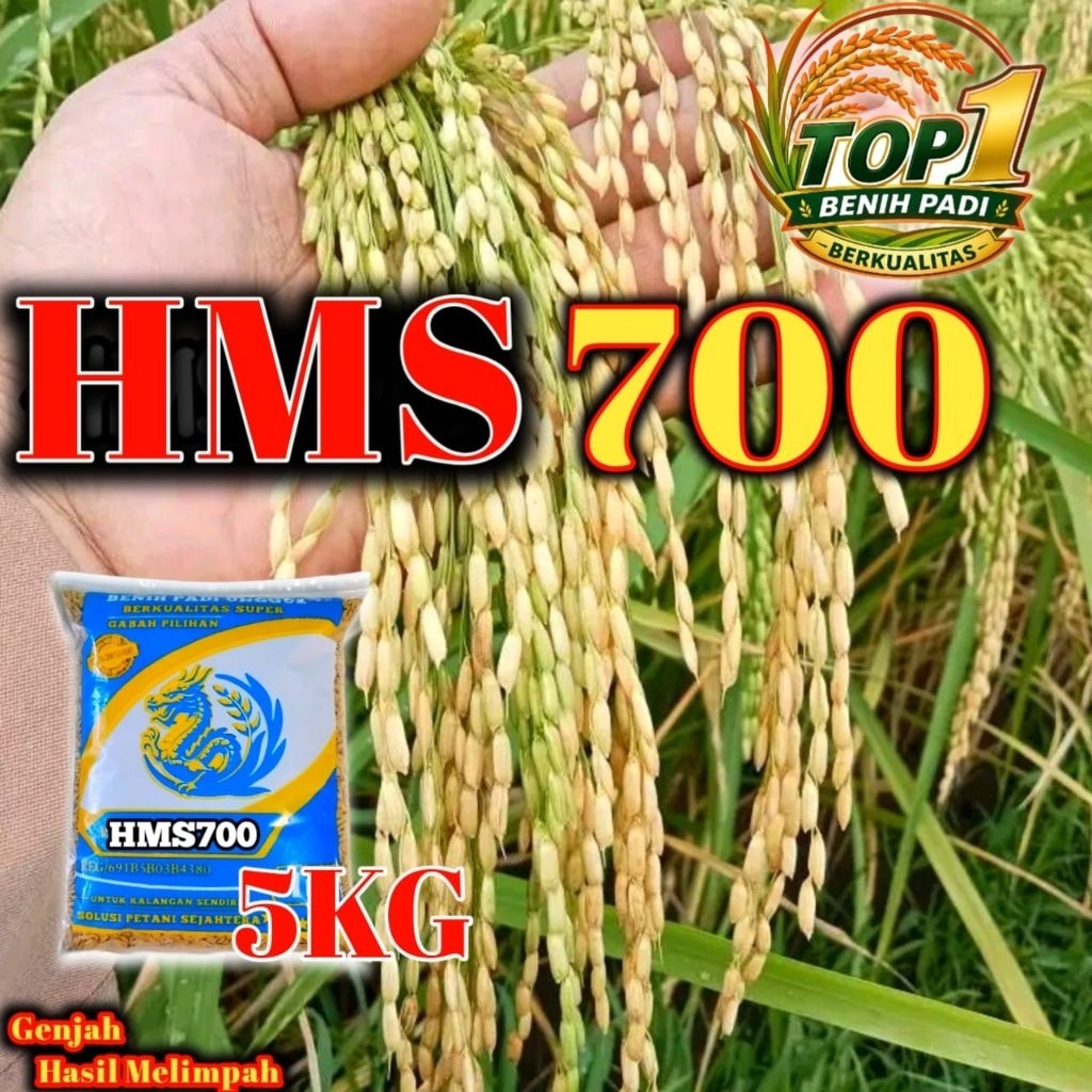PADI HMS 700 5kg