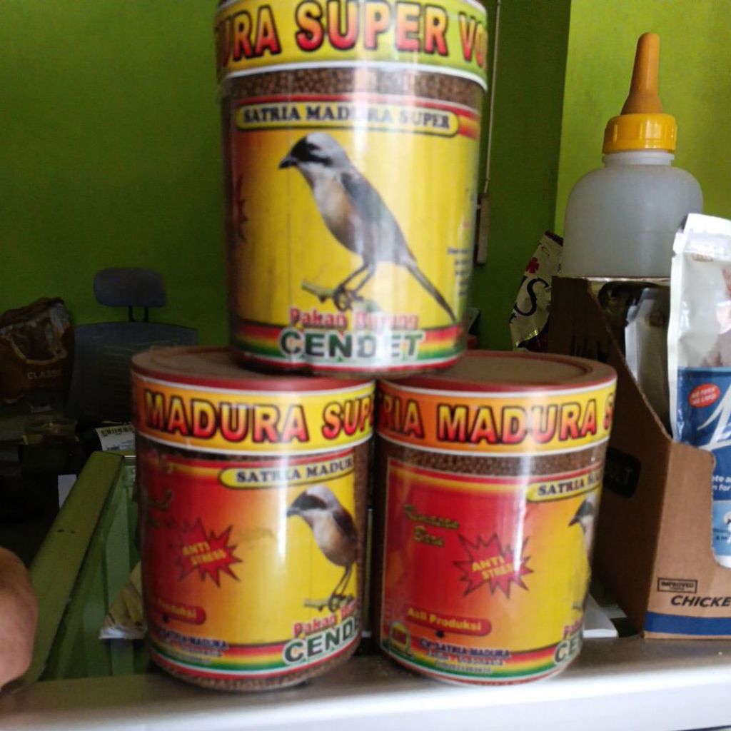 satria Madura pakan burung cendet