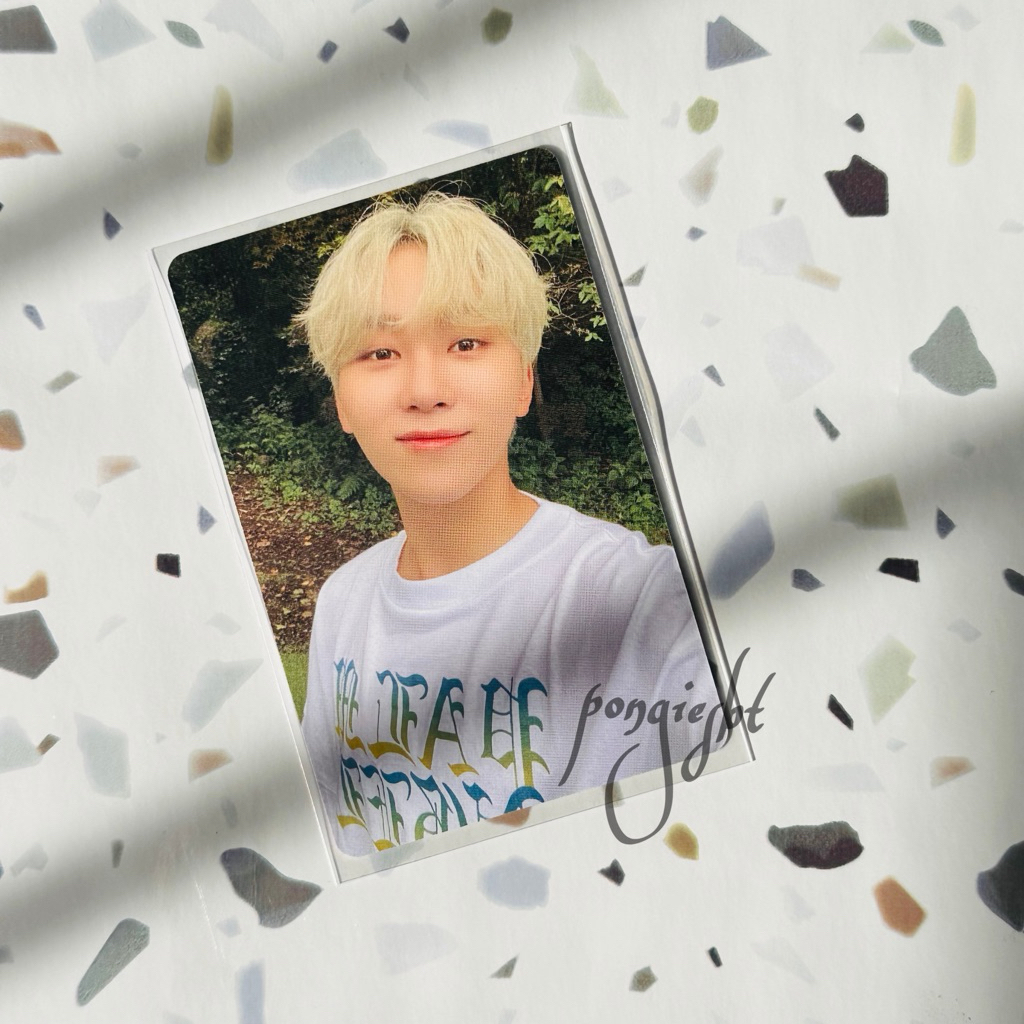 Photocard Official Seventeen Seungkwan Dicon 101