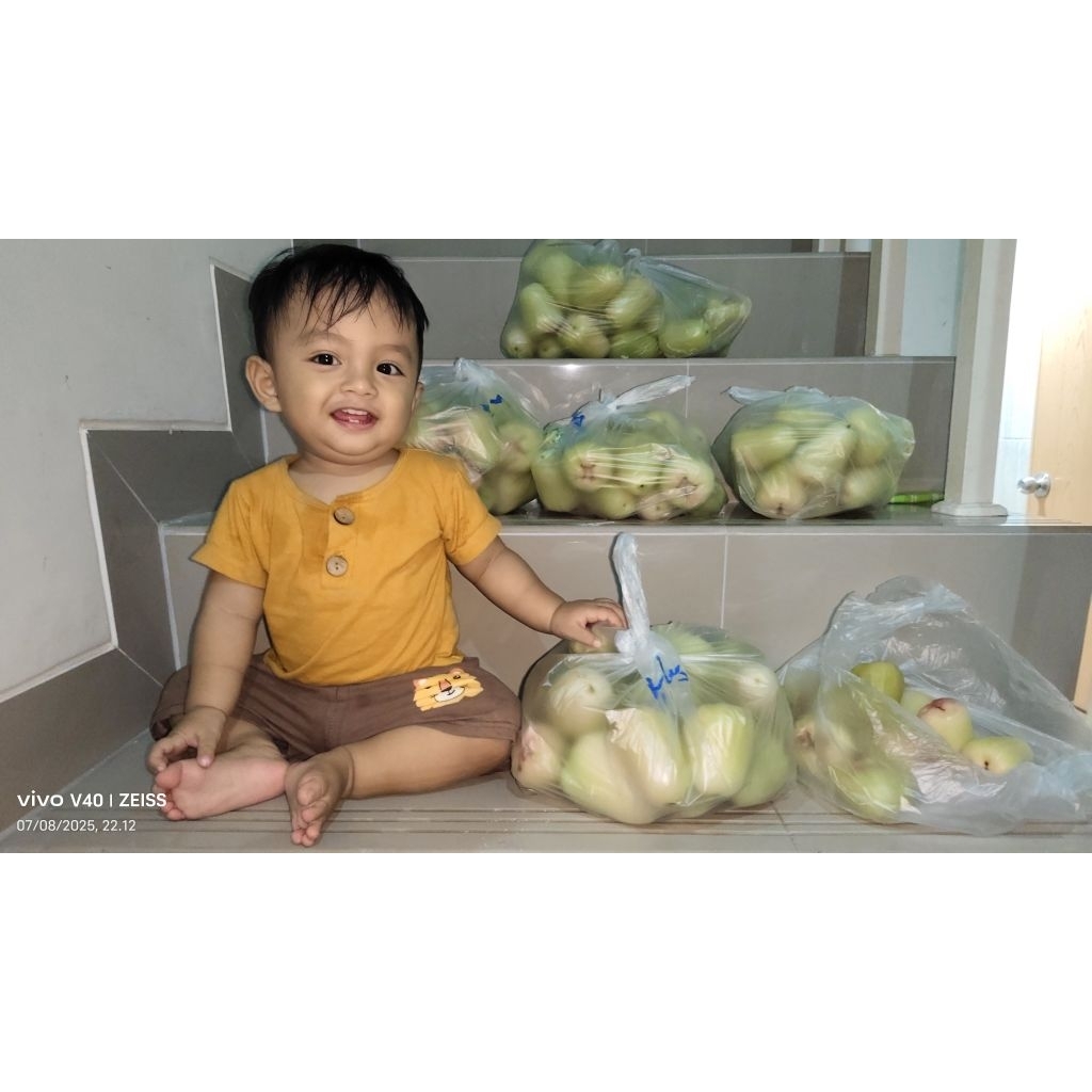 Buah Jambu Air Madu deli Hijau