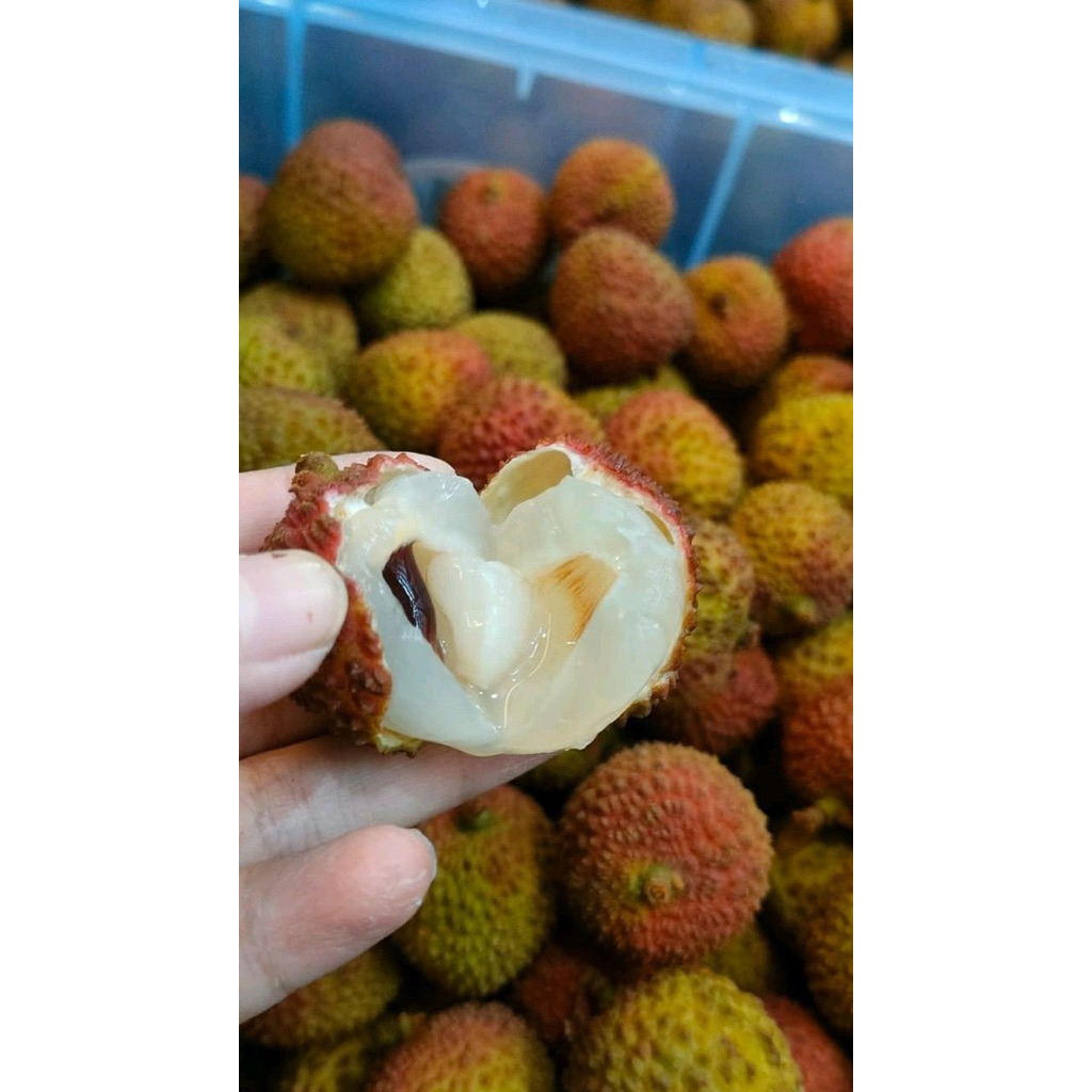 Lychee Manis / Buah Leci manis Fresh