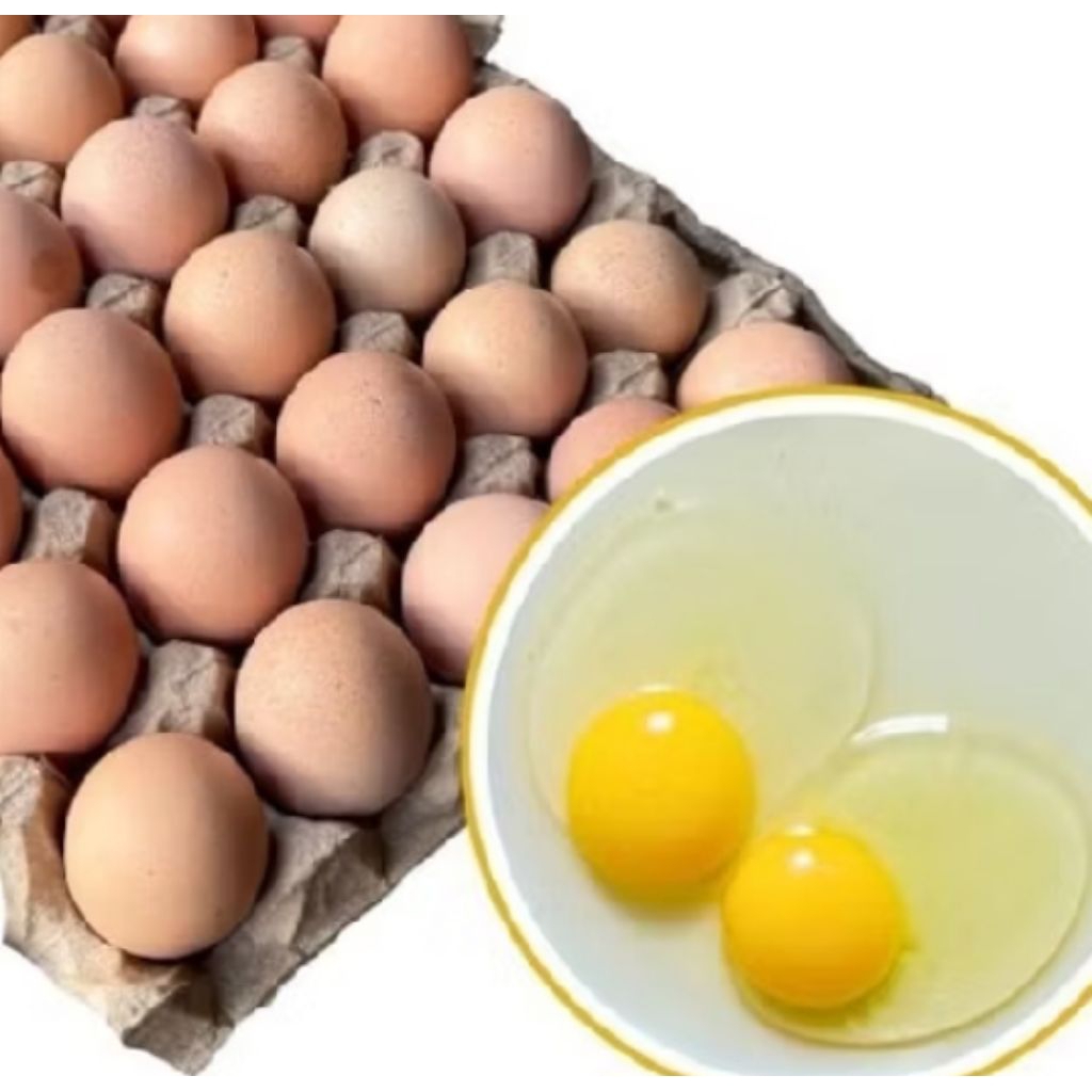 Telur 1kg / Telur Omega / Telur Ayam Negeri 15 Butir Telor Ayam Omega