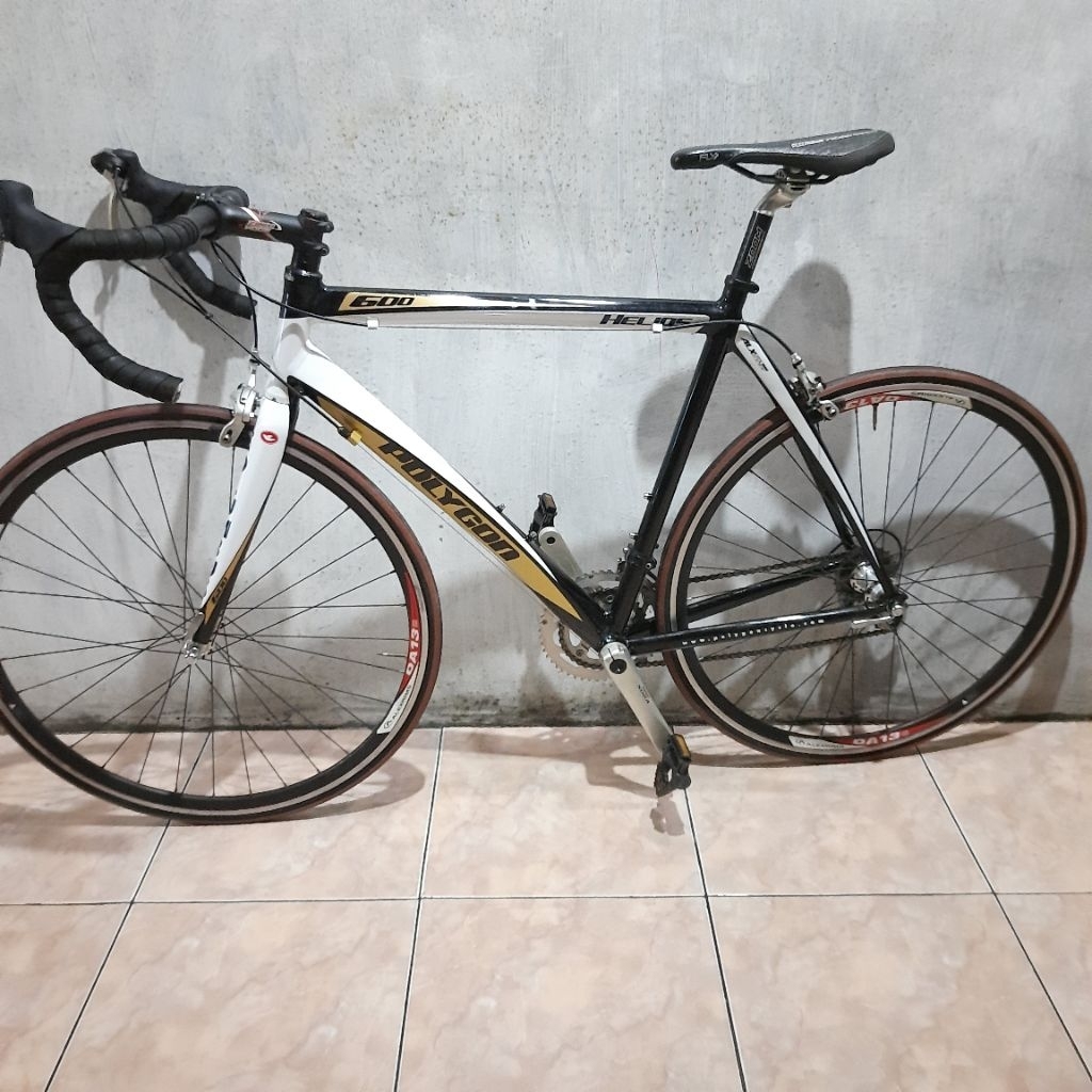 polygon helios 600 size 56 L gs sora