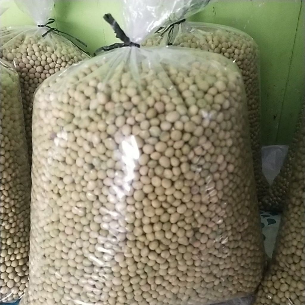 BIBIT EDAMAME 1 kg