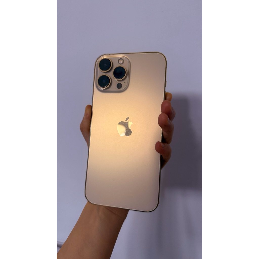 Iphone 13 Pro Max 128 Gb ex Inter