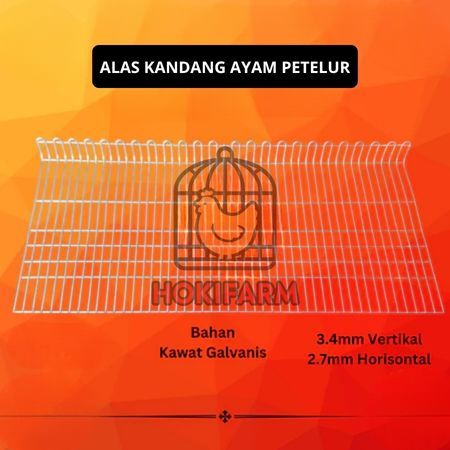 PROMO  Alas kandang ayam petelur / layer - galvanis