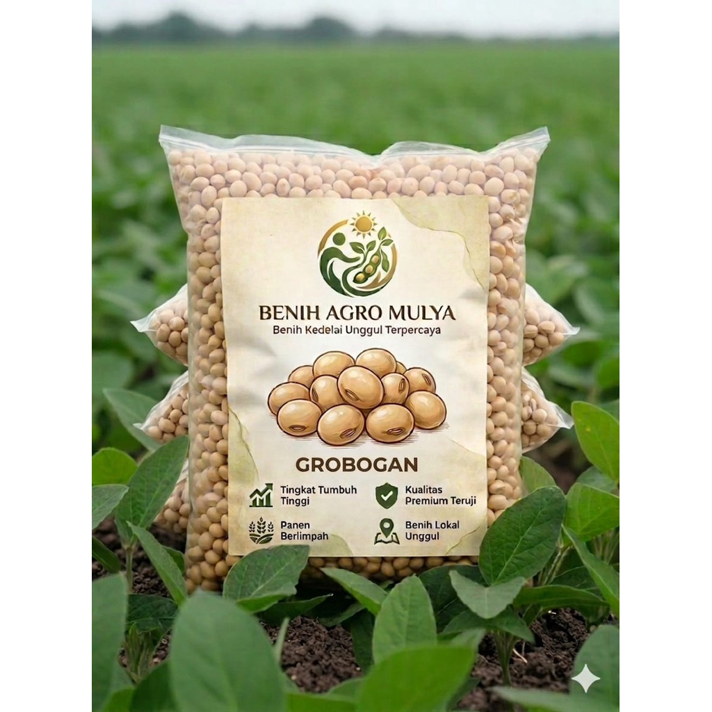 KEDELAI PUTIH LOKAL non GMO SIAP TANAM 1 KG