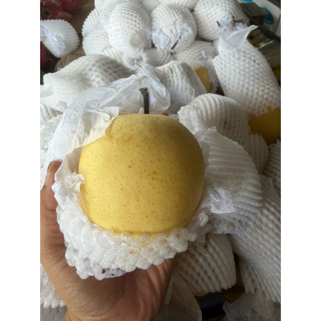 (BLITAR)PIR CENTURY DAN BUAH SEGAR LAIINYA