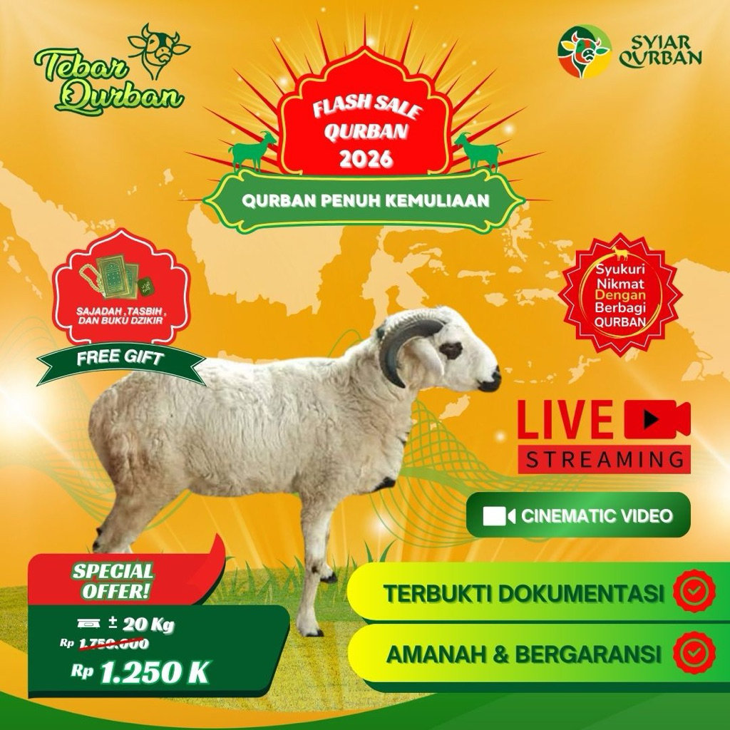 Kambing Qurban Tebar Qurban -+20kg Full Distribusi