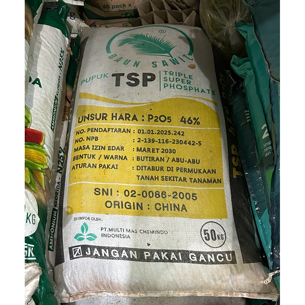(50 KG) Pupuk TSP DAUN SAWIT Phospat 46% Pupuk Dasar Akar Triple Super Phospat