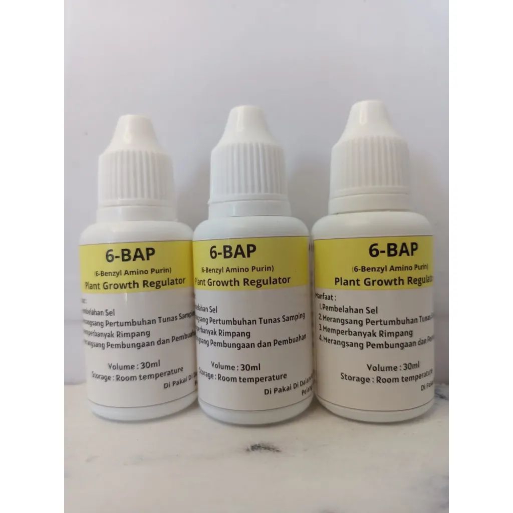 °HOT PROMO HORMON PELEBAT ANGGREK 6-BAP KUNING° PAKET MURAH 3 BOTOL 30ML ( Cocok Untuk Penumbuh Tuna
