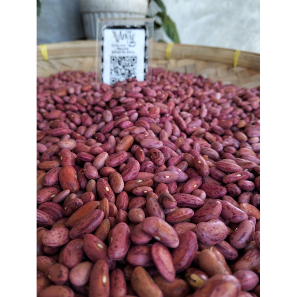 1 Kg Kacang Merah  Atau Kacang merah Tausa (habis)