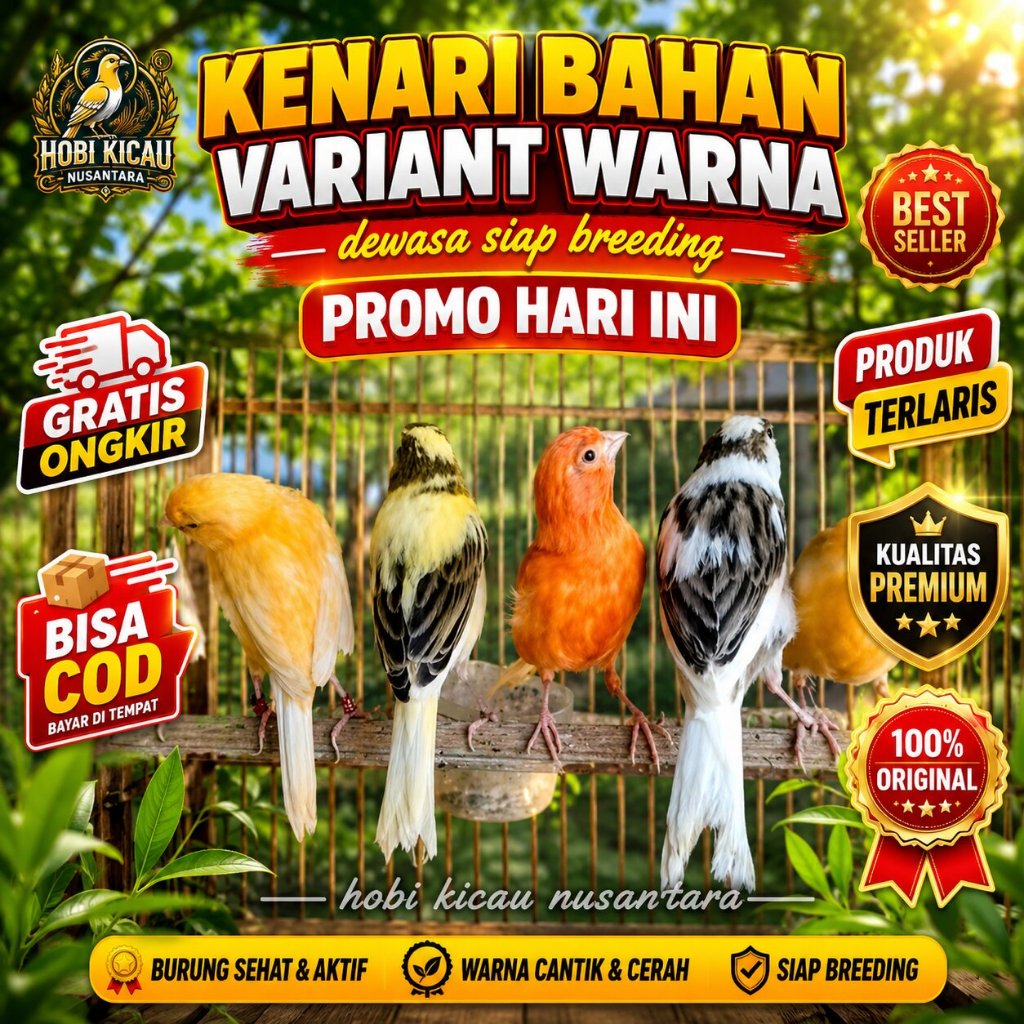 Kenari Bahan Jaminan Jantan