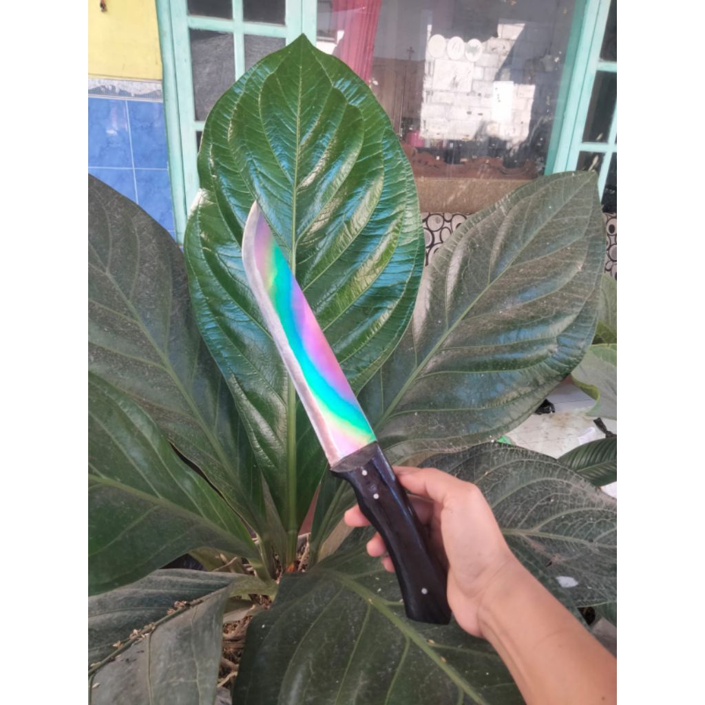 pisau multi HSS DMo5 Julia super tajam tanpa sepuh