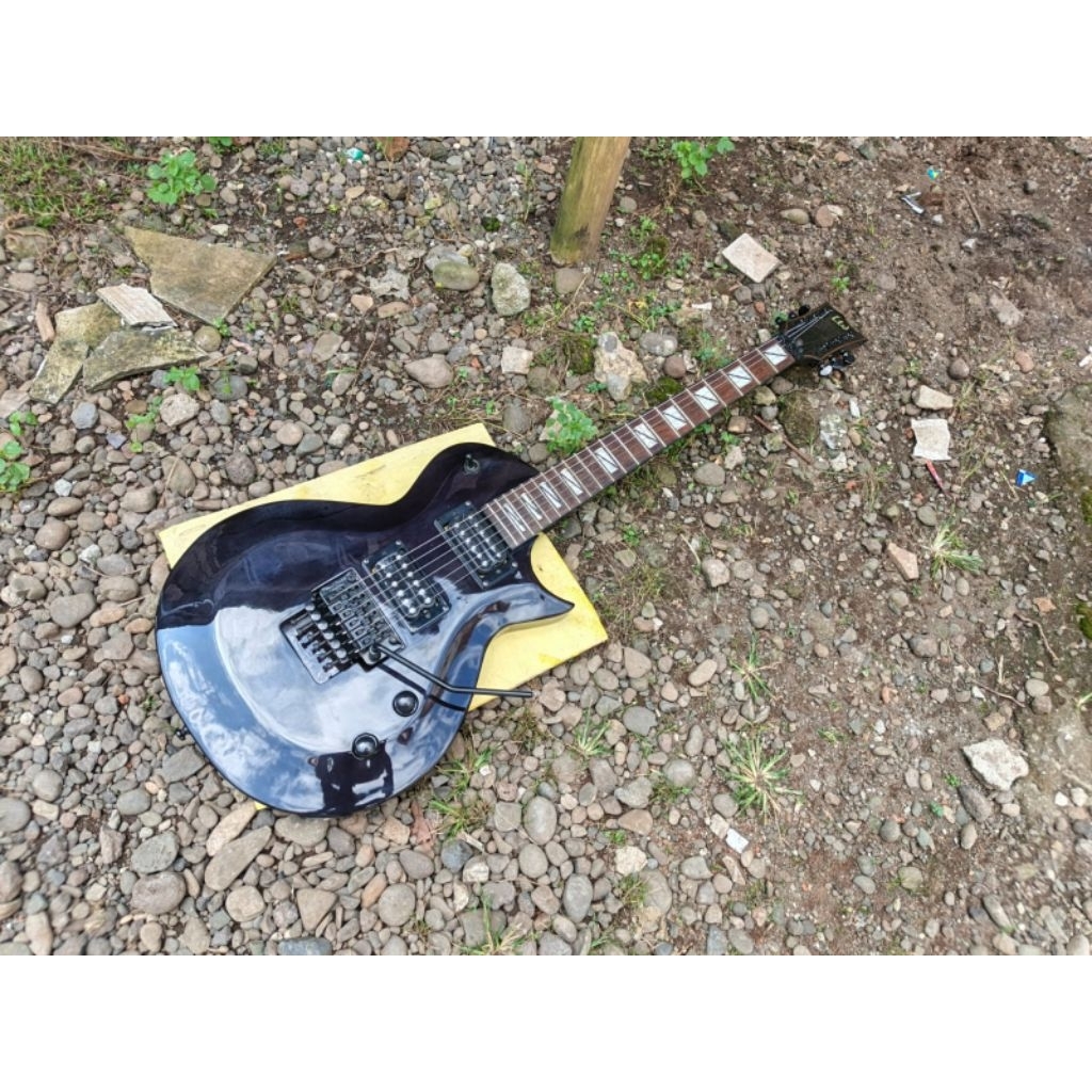 LTD ESP Garyhort