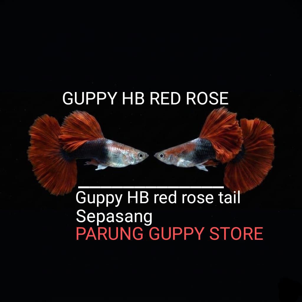 hiasan HB RED ROSE 1P