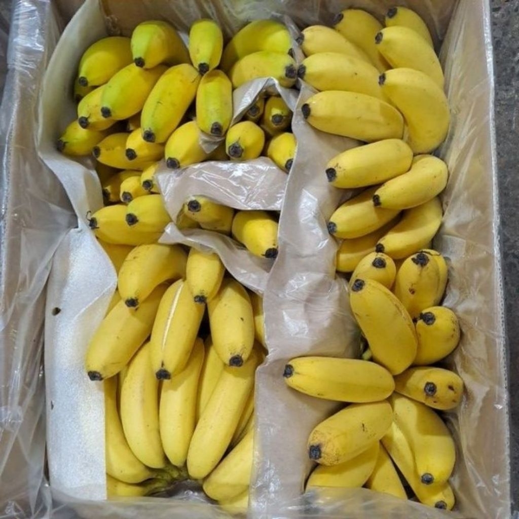 [PREMIUM] Pisang Canvedish Sunpride 1dus Manis Lembut Aroma Wangi