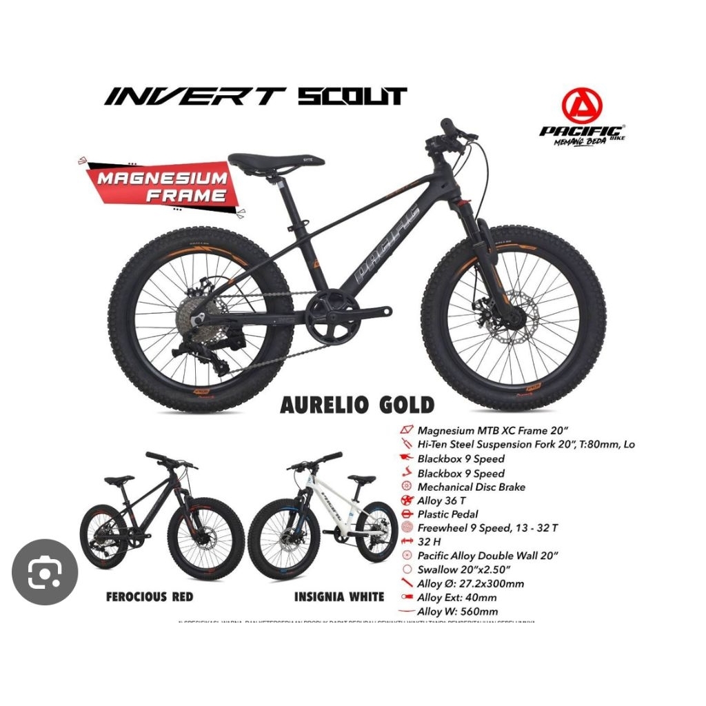 Sepeda MTB 20 Pasific Invert Magnesium