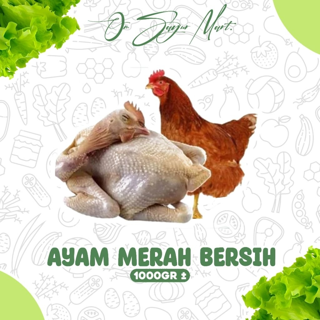DAGING AYAM MERAH POTONG FROZEN / AYAM BERTELUR / littlelotus Frozen