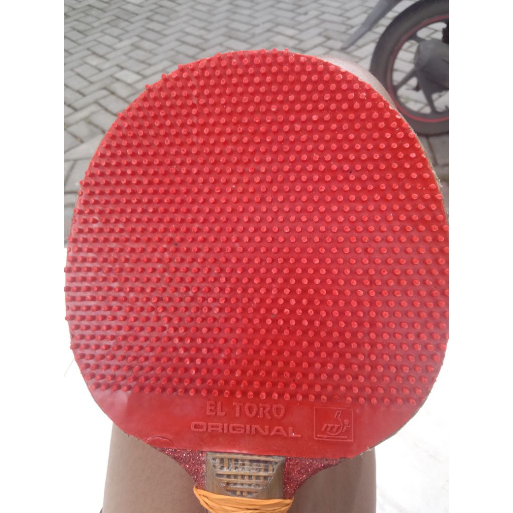 karet bet bintik panjang El turo