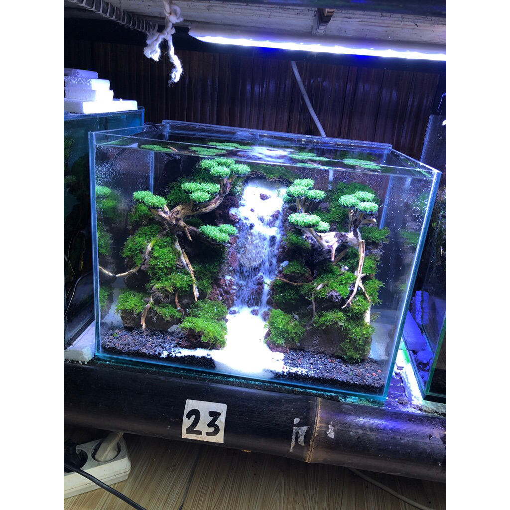 aquascape murah size 40x30x30 cm fullset siap pandang