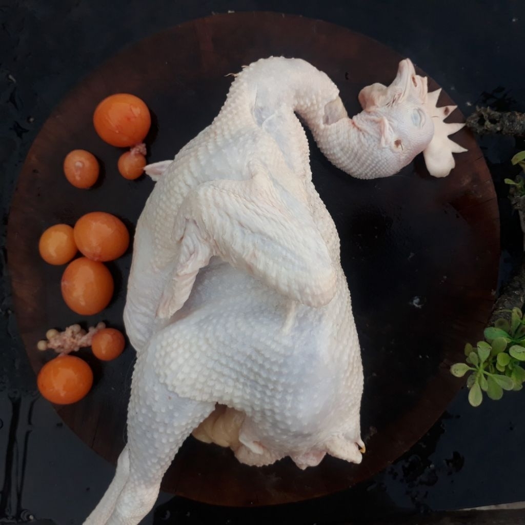 ayam merah / ayam petelor 2kg (timbangan hidup) + ati ampela dan telor muda