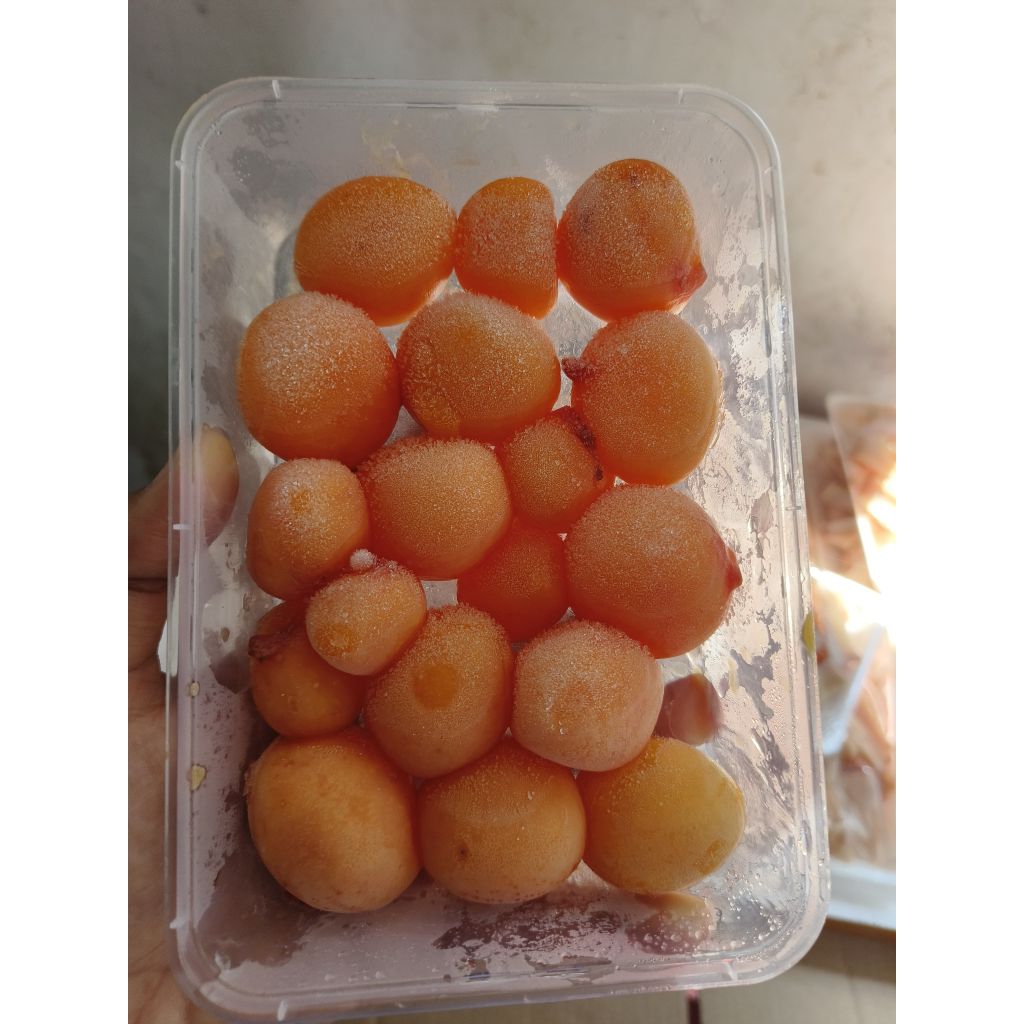 uritan telur ayam