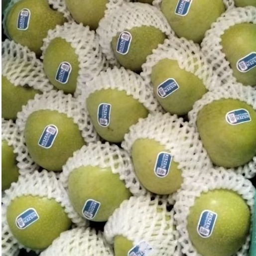 Apel Manalagi berat 1 kg