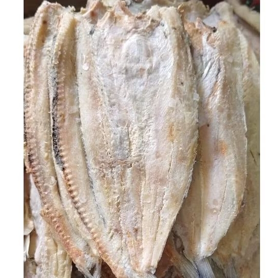 ikan BELAH / BELEK  gabus  / jambal bloso