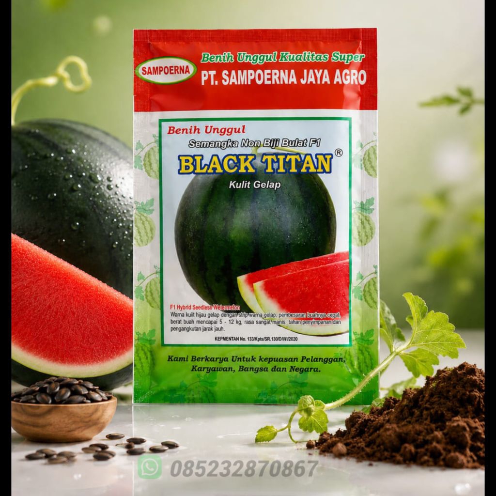 Benih Semangka Non Biji BLACK TITAN Kulit Gelap
