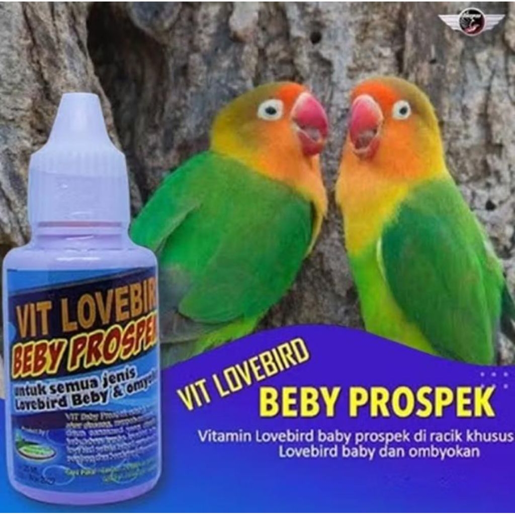 Vitamin Burung Lovebird Beby Prospek vitamin lomba/ Alami Lovebird Juara
