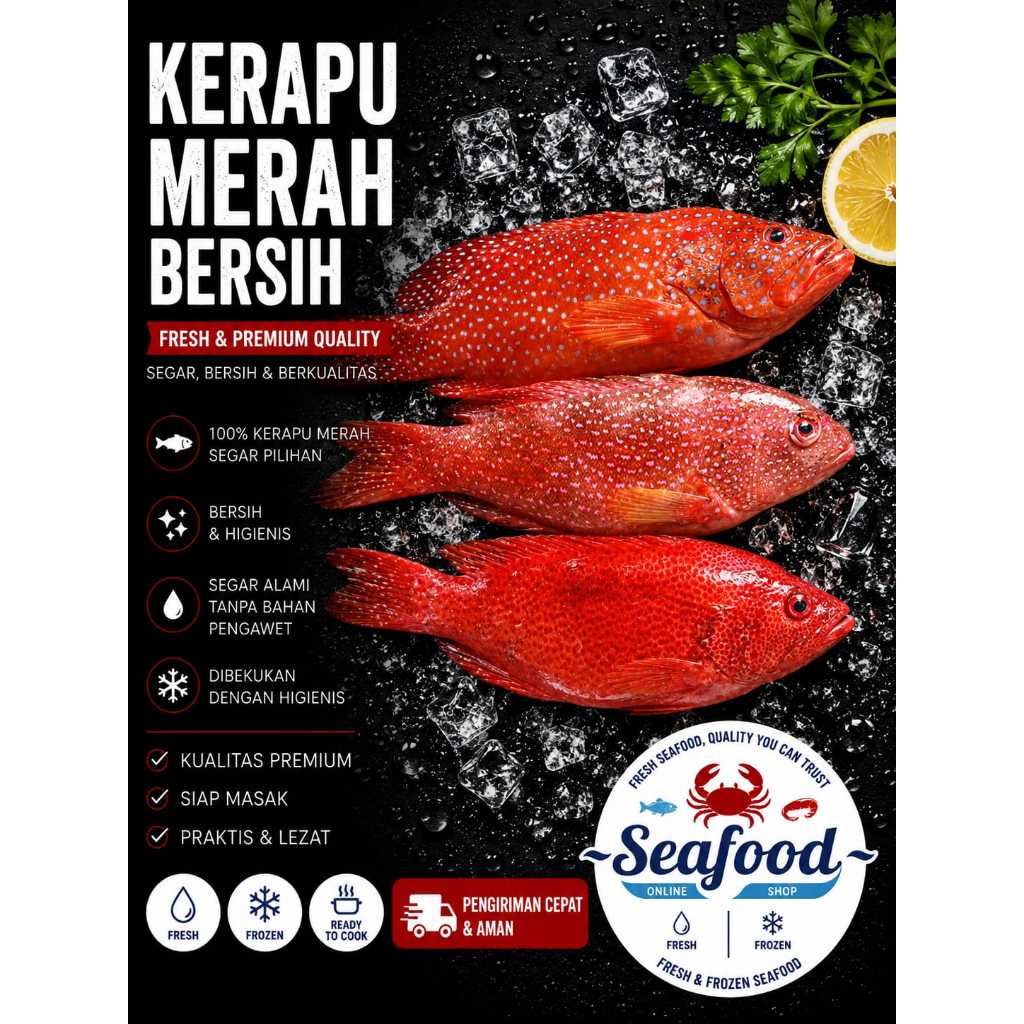 Ikan Laut Kerapu Merah Bersih 1KG Segar Fresh - Ikan Kerapu Merah - Berkualitas - Bergaransi