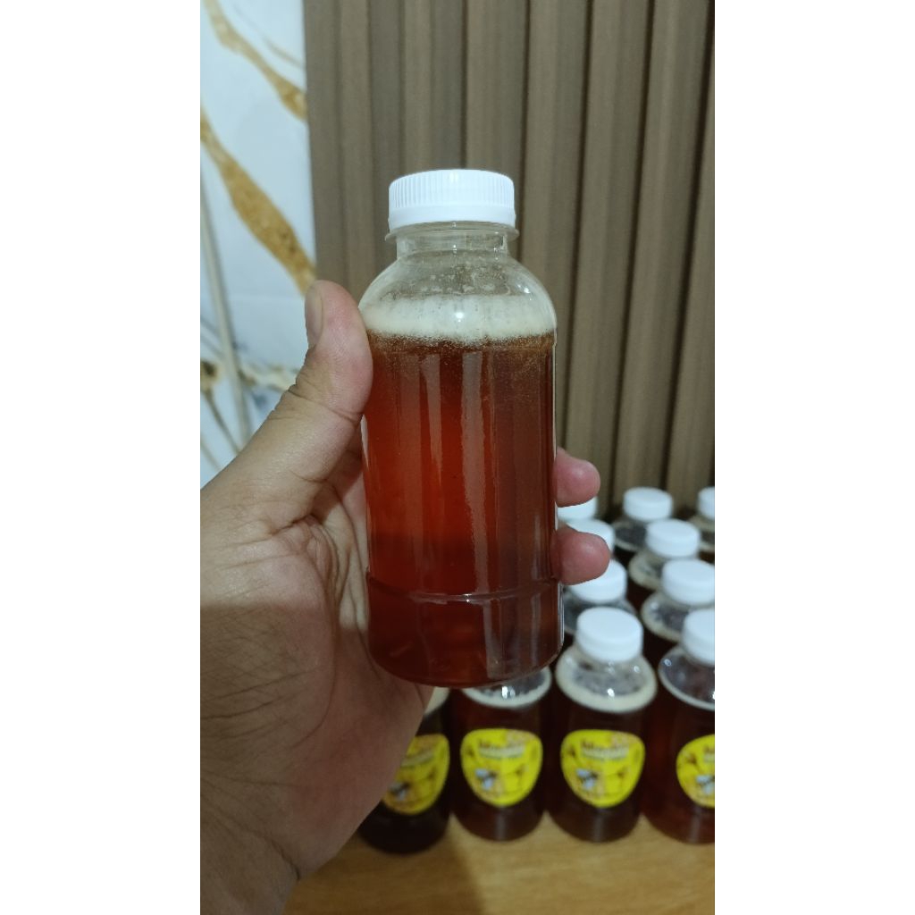 Madu asli hutan sumatra