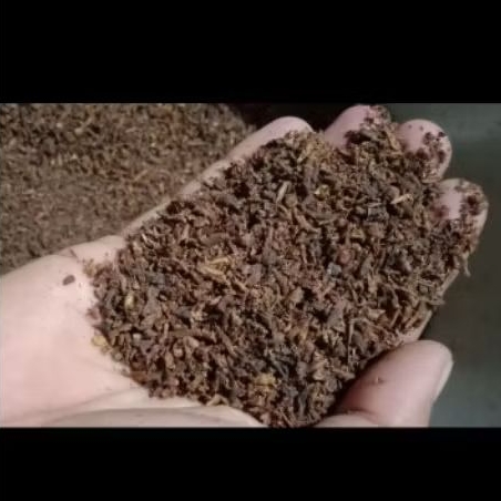 Cengkeh SIKOTOX Super Rajang Kecil