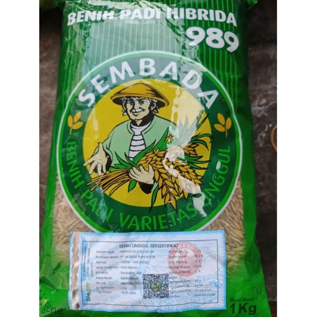 Bibit Padi Hibrida Sembada 989 Original