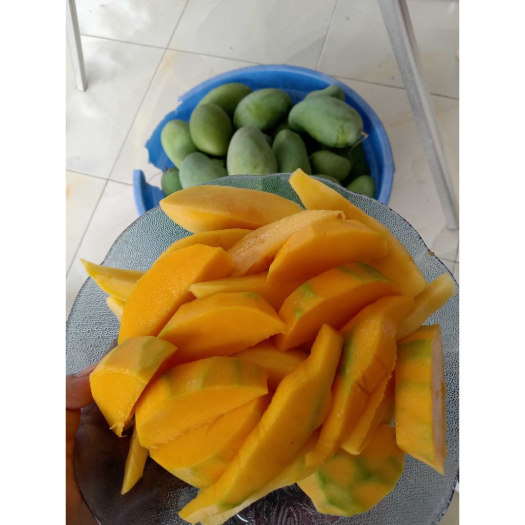 Mangga Gadung