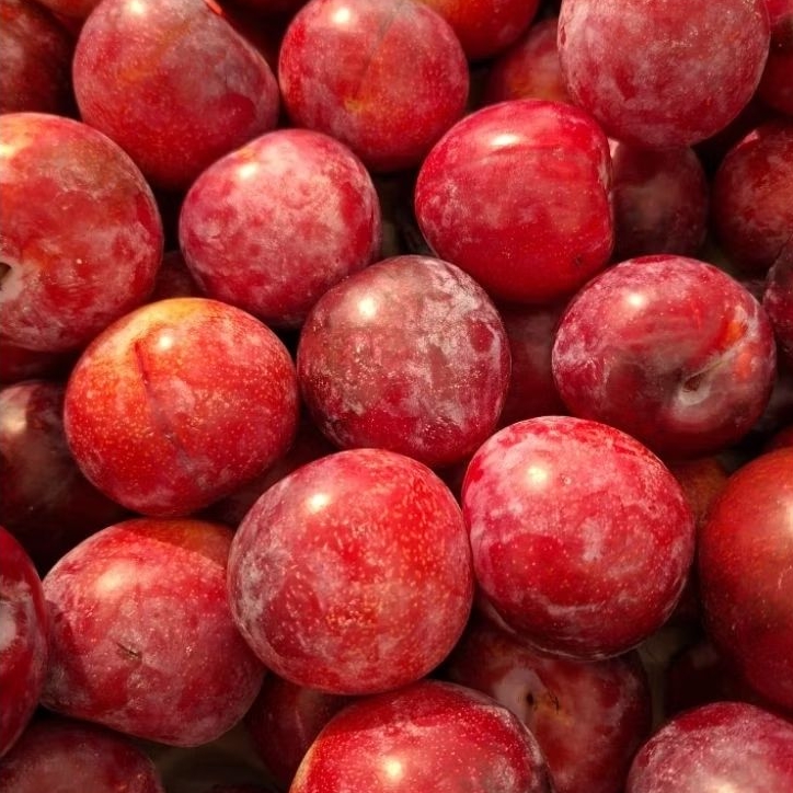 Buah Plum Red Afrika / buah plum red import fresh / kg