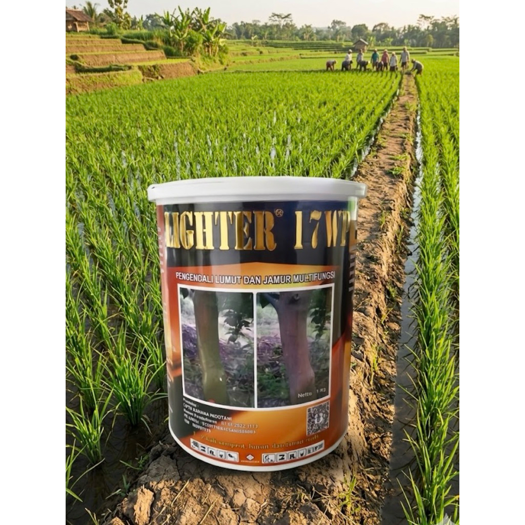 fungisida LIGHTER 17wp pembasmi lumut dan jamur pada tanaman kemasan 1kg