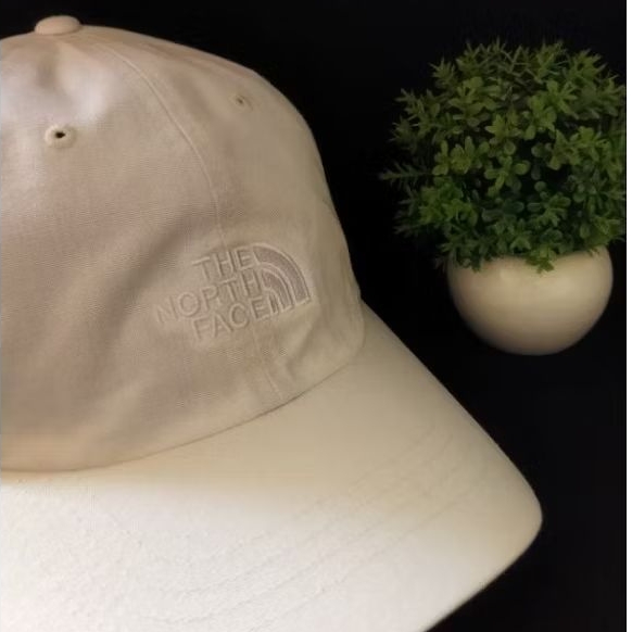 Topi TNF caps original