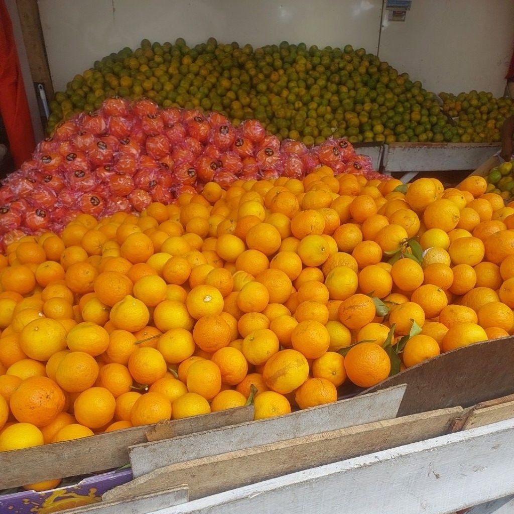 BUAH JERUK SEGAR 10 BIJI